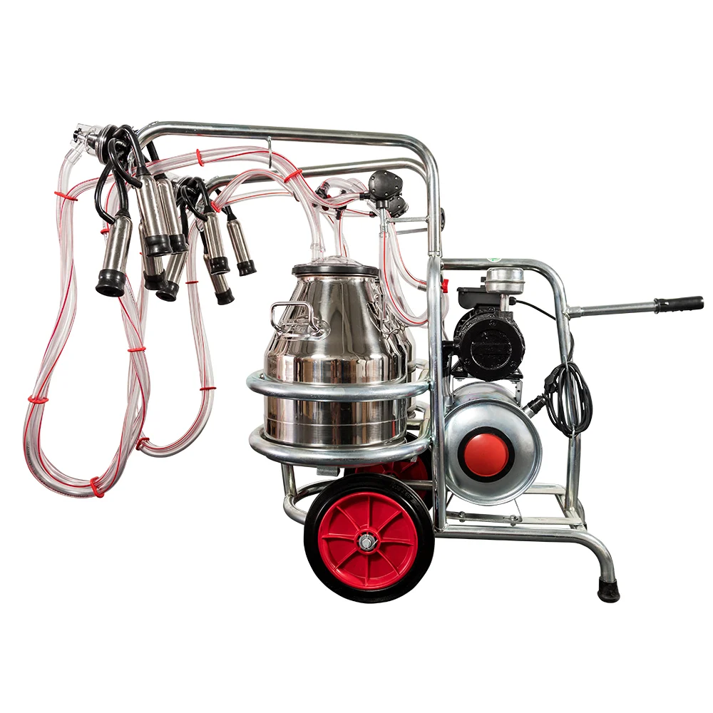 Aparat de muls vaci EMT galvanizat, 2 bidoane inox 30 litri, 2 posturi( ungere) - imagine 3