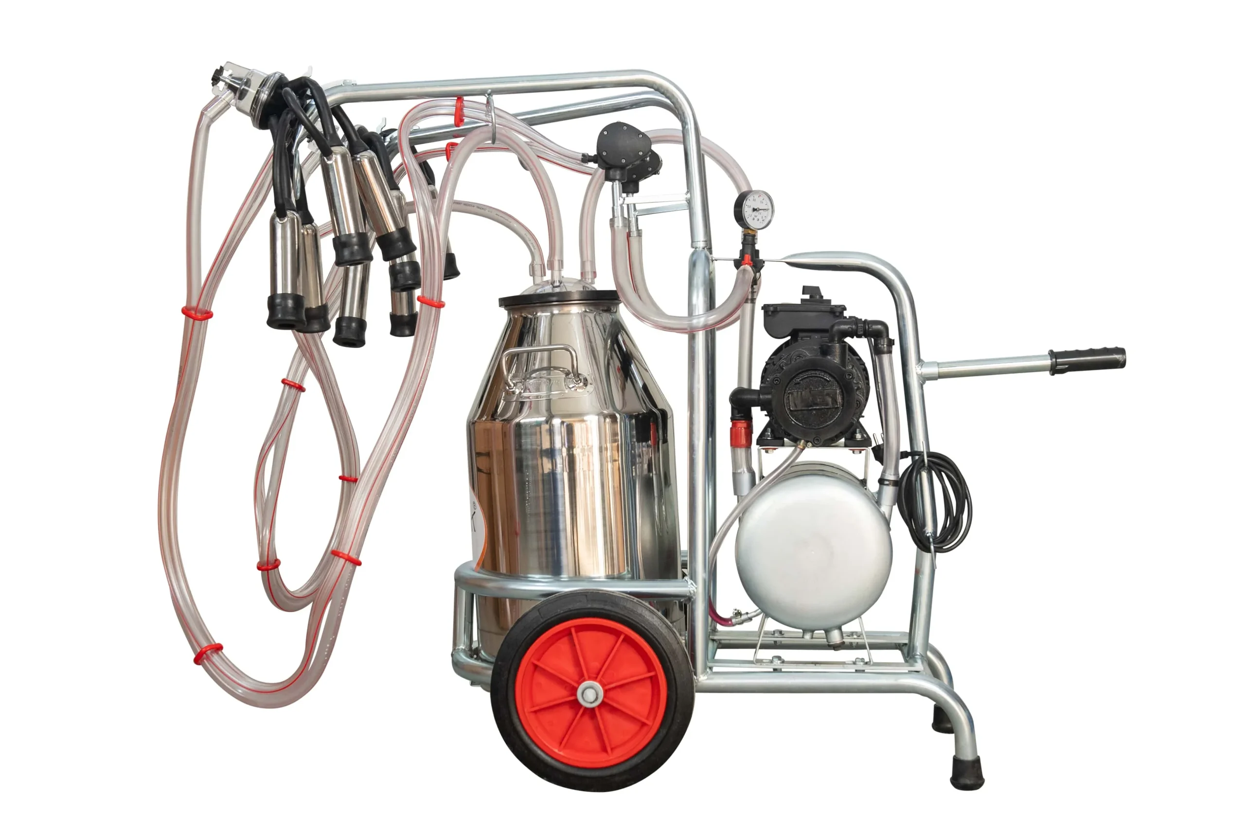 Aparat de muls vaci EMT galvanizat, un bidon inox 40 litri, 2 posturi( ungere) - imagine 2