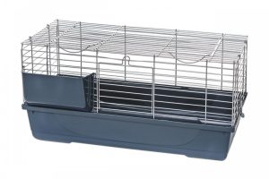 Colivii si custi